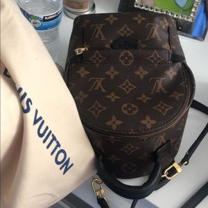 Palm Springs mini Louis Vuitton